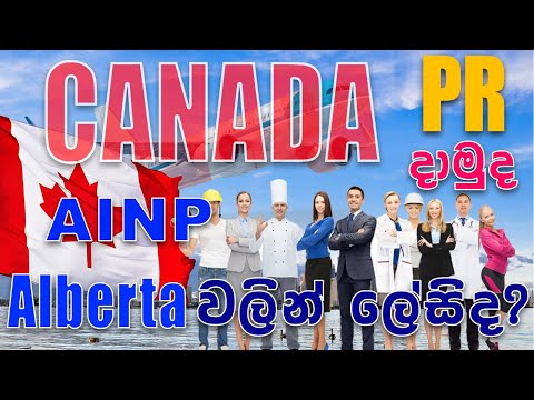 Alberta Immigrant Nominee Program (AINP) | Alberta Express Entry Program for Canada PR | SL TO UK