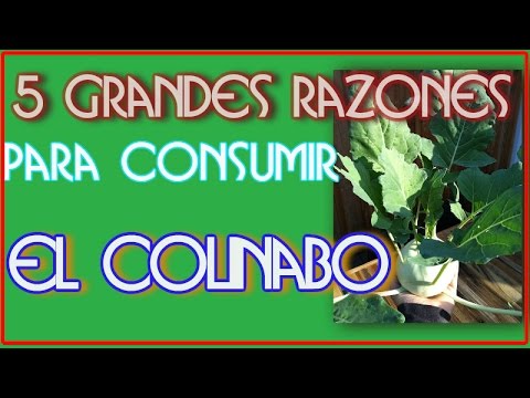 Video: Los Beneficios Y Daños Del Colinabo