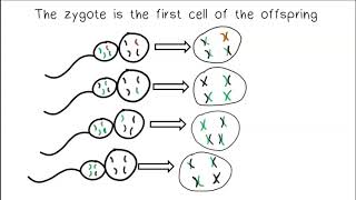 Sources of Variation