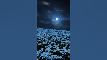 Thumbnail of My moon #moon #love #shortsfeed