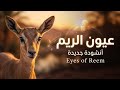 عيون الريم أنشودة في حضرة الجمال 2026     