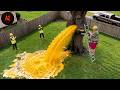 Idiots With Chainsaws: Tree Cutting Fails | Extreme Dangerous Logging Truck Fails #95
