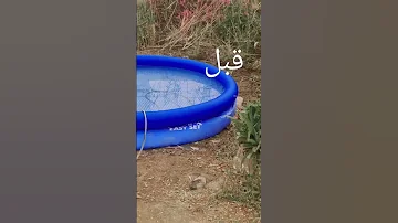 مسبح 
