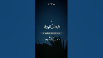 ٱصۡبروا وصابروا ورابطوا-سورةآل عمران آیه(۲۰۰) شیخ محمد اللیثی🤍