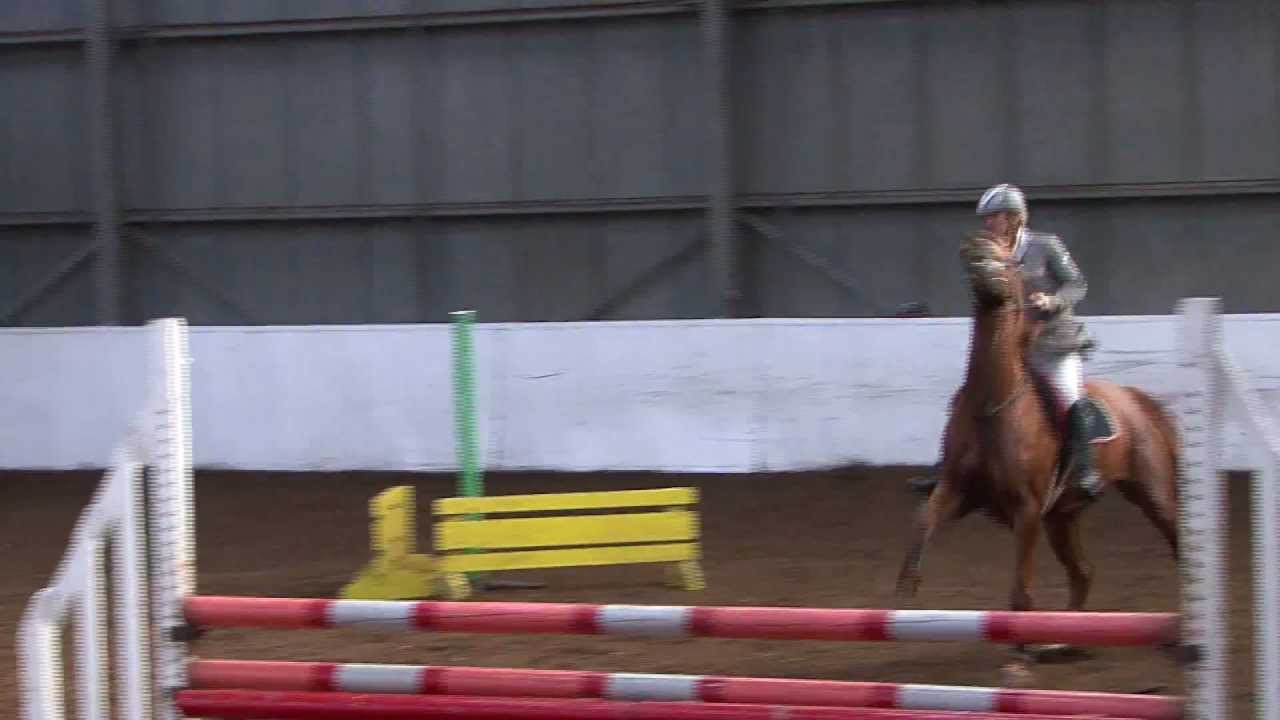 Markfield Equestrian Centre Showjumping 24th Nov 11.mov YouTube