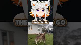 0 survival instincts