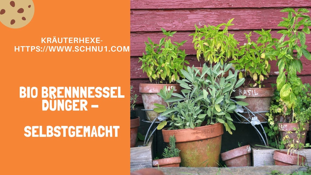 beste dünger für hanf Green Home Hanf & Cannabis Blüten Dünger