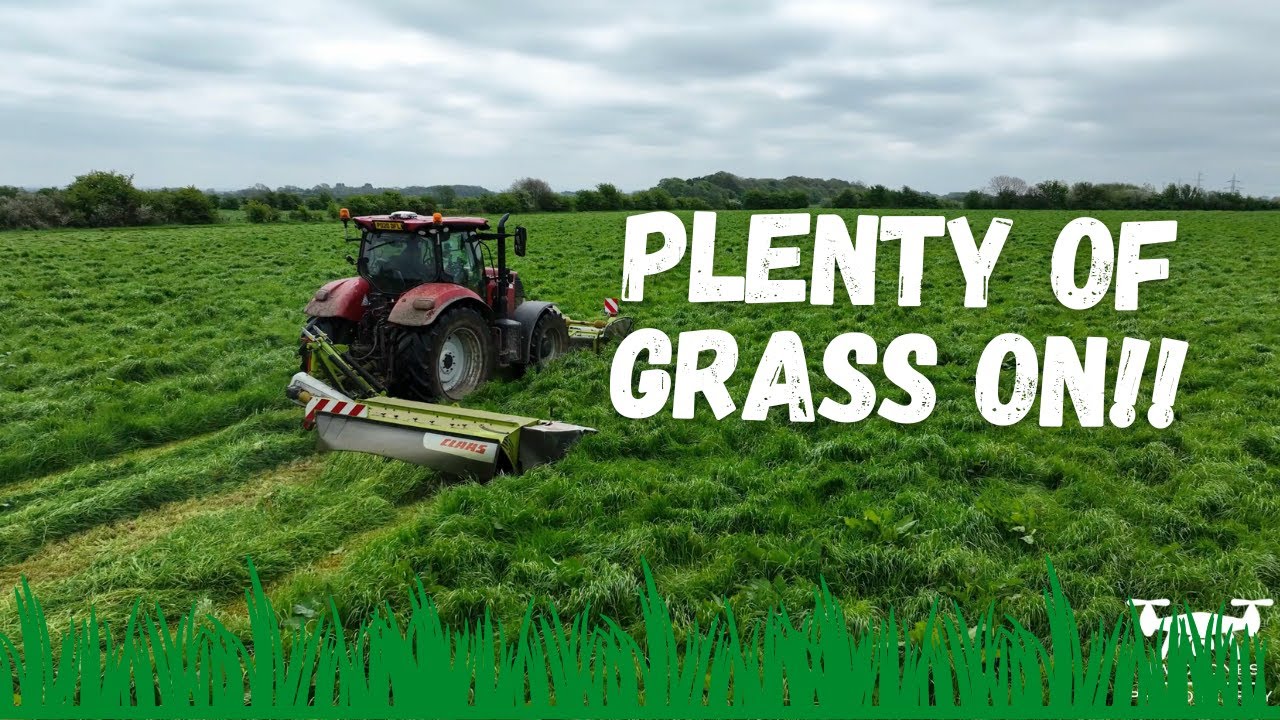 MOWING OVER 200 ACRES WITH ARMERS CONTRACTORS