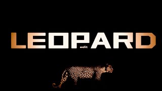 Leopard - Edit (Africa)