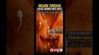 The Incredible Journey of Life: How Conception Happens (3D Animation) #humanbody