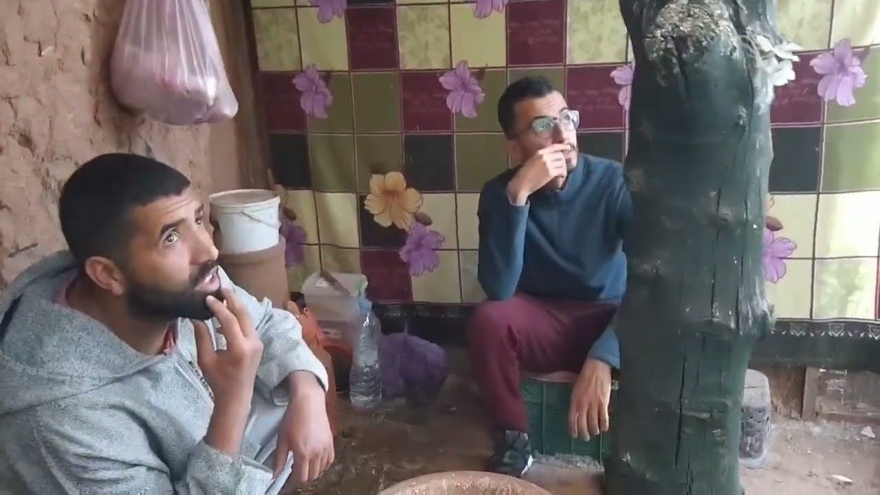 انتاج الحسون لبعض الأصدقاء في الموسم الاول بفضل الله أولا ومساعدتي لهم... chardonneret Marrakech ♥️