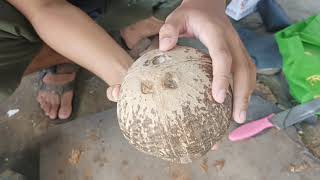 Cara membuat mangkok serbaguna dari tempurung kelapa