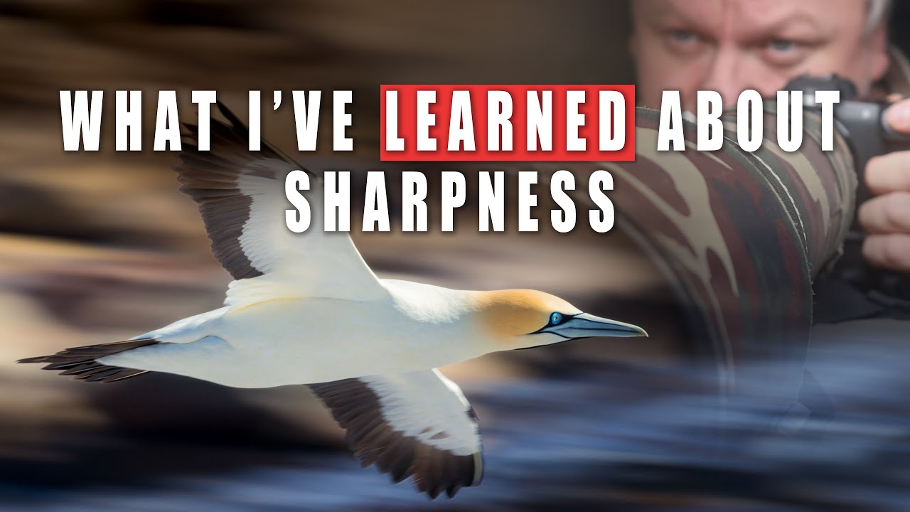 Large Razor Sharp Photograph Taking Razor Sharp Photos (In Depth) - YouTube