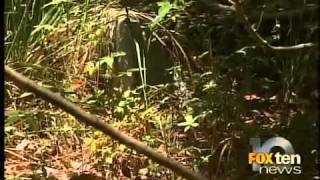 neglected cemetery update