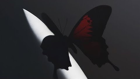 REFLECTION VIDEO FOR "teaching media for reading skills" ELTM