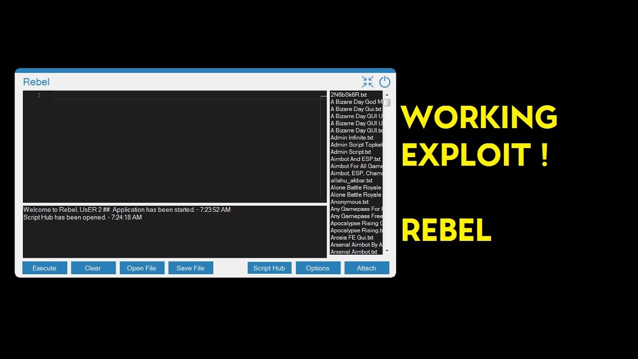 New Working Exploit Rebel Script Executor Scripthub And Even