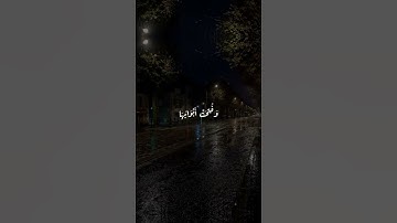 الشيخ مشاري العفاسي تلاوة هادئة | حالات واتس اب قرأن كريم مشاري العفاسي #قرآن