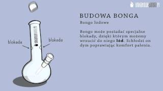 Budowa Bonga