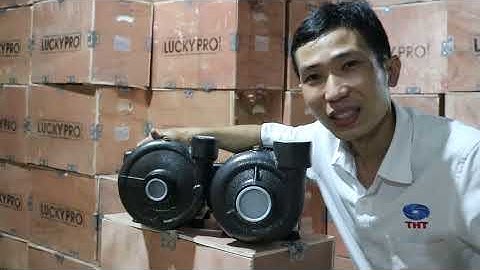 Hướng dẫn cách chọn bơm tưới béc và bơm tưới thủ công | Thuận Hiệp Thành