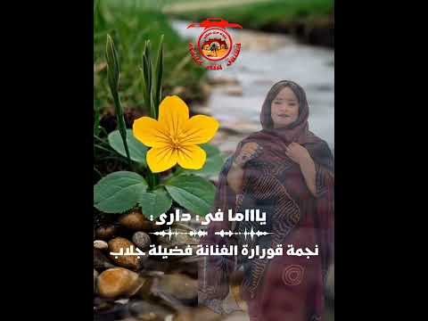 جلاب فضيلة ياما في داري