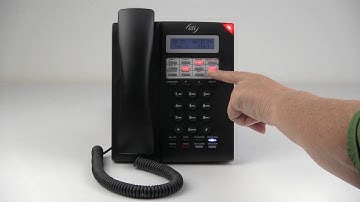 ESI 30 Business Phone: Overview