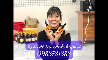 Bộ đôi kéo cắt tỉa cành kapusi lưỡi sk5 200k/1 cặp 0983781388