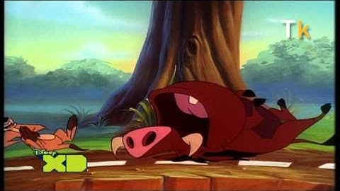 Timon & Pumbaa - Intro