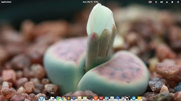 Fast Review Elementary OS Loki