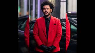 The Weeknd - Shadow Realm