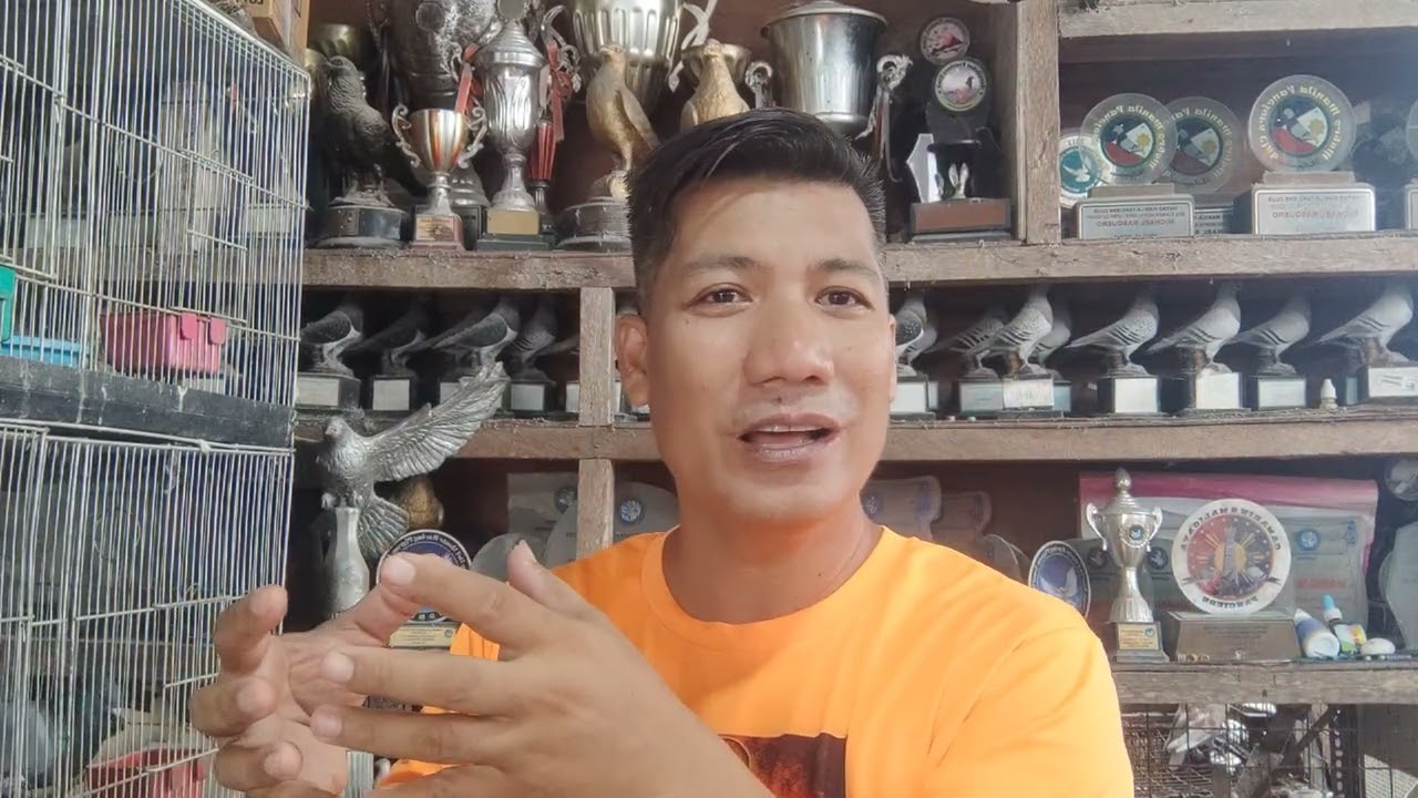 BREEDING TIPS PART 1