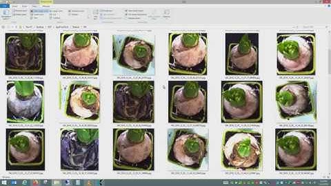 Making a classification ccn with IDS NXT rio