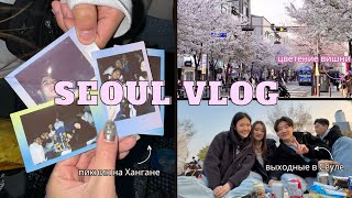 [VLOG] Какого это жить в Сеуле? 🇰🇷 Цветение вишни, пикник на реке Хан