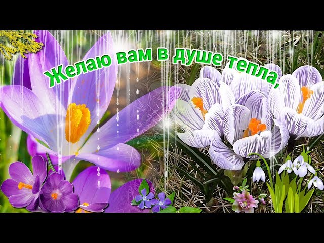 20 марта - День весеннего равноденствия! С праздником! Смотреть видео 20 марта - День весеннего равноденствия! С праздником!