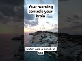 Your Morning Is Destroying Your Focus (Neuroscience Explains) #viral #shorts#huberman