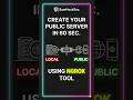 Get public URL in one command using ngrok tool