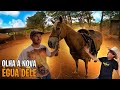 O MOREALE TROCOU O CAVALO BREIKE NA EGUÁ NOVA