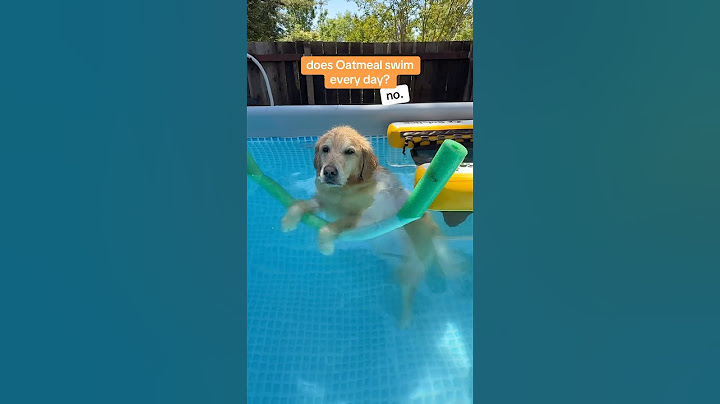 drying him alone is a full time job 😮‍💨#PoolTime #SwimmingDog #healthydog