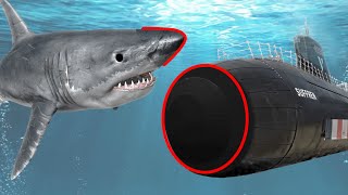 Why Modern Submarines Have Round Noses?