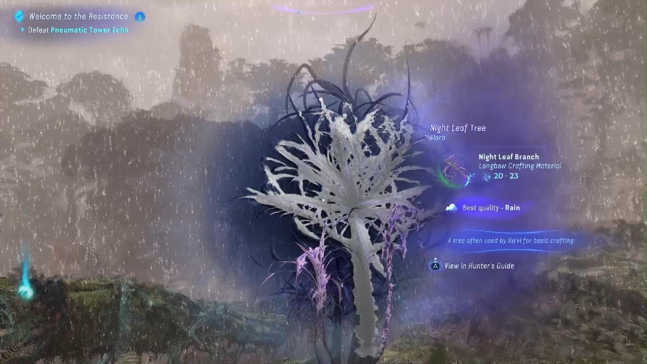 Avatar, Uncovering the truth