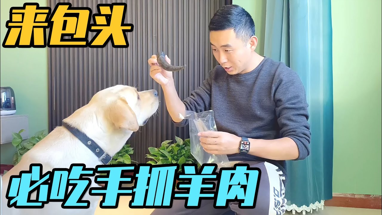 房车自驾游 包头30年出租车师傅的秘密基地 这里的手抓羊肉好吃 家和远方的旅行 Youtube