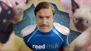 Reed.co.uk Official Love Mondays Campaign 2013 Cute Kittens - Curtains