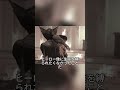 実際に究極の反抗として二度と特撮に戻らなかった俳優#shorts