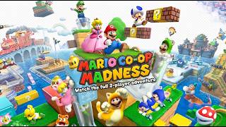 Completing Super Mario 3D World - World 5 100% Run - 2 Player Co-Op screenshot 3