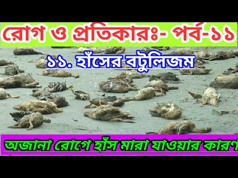 ভিডিও: কুকুর মধ্যে বোটুলিজম