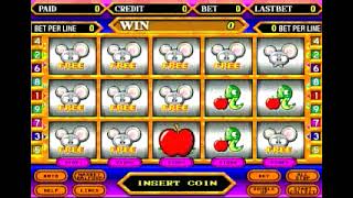 Video 20100303 170143