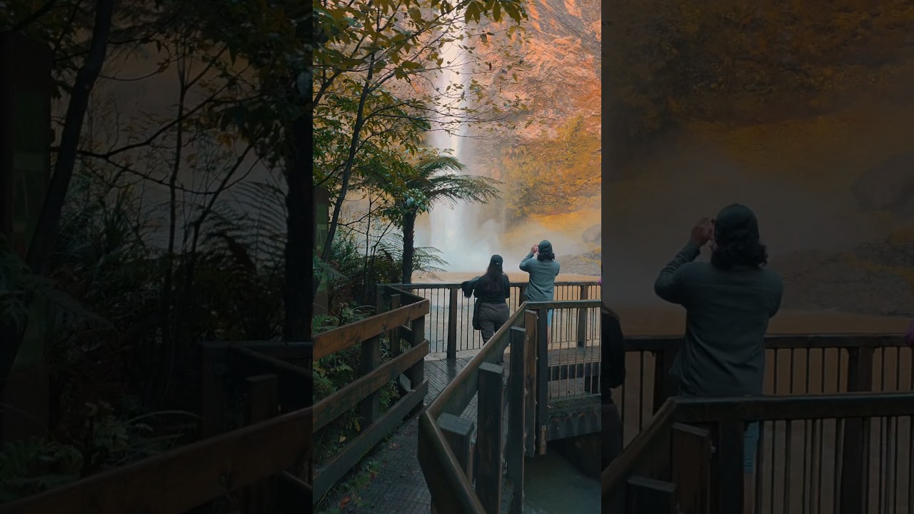 Bridal Veil Falls NZ 🌿 Hidden Waterfall Near Auckland! 