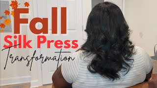 You DON’T Need Expensive Products for a PERFECT Silk Press!
