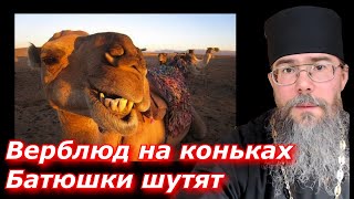 Священники Шутят. Верблюд на коньках. Православный Юмор.