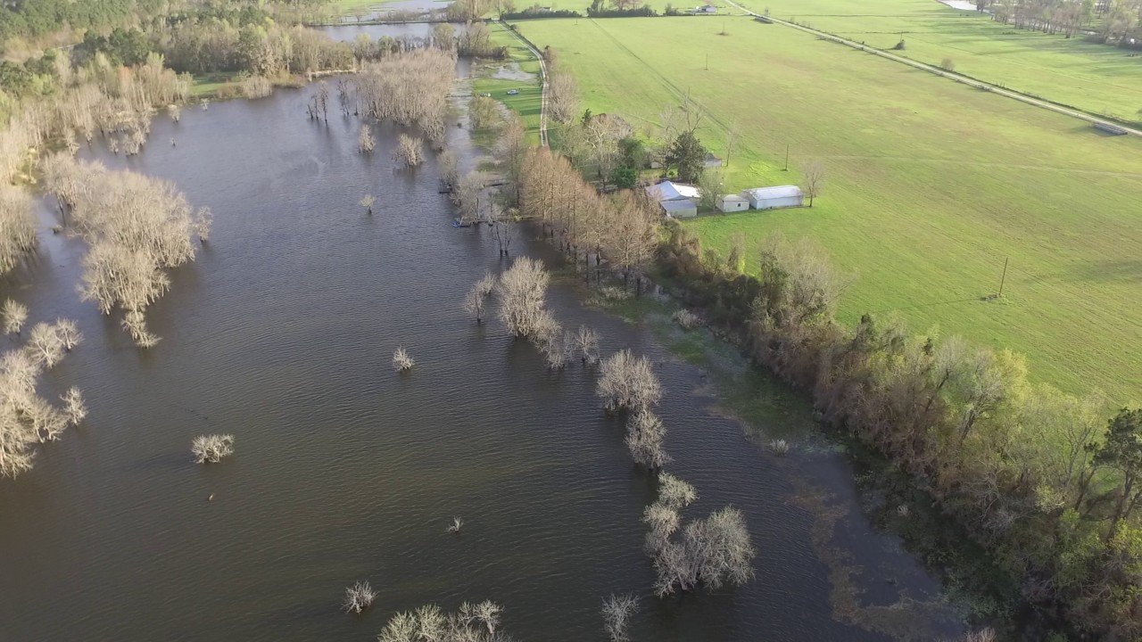 Munson Lake Pt 1 YouTube