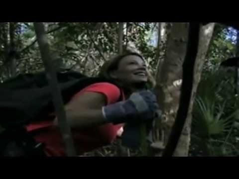 Let's go python hunting! First ever 'Python Challenge' in Florida.